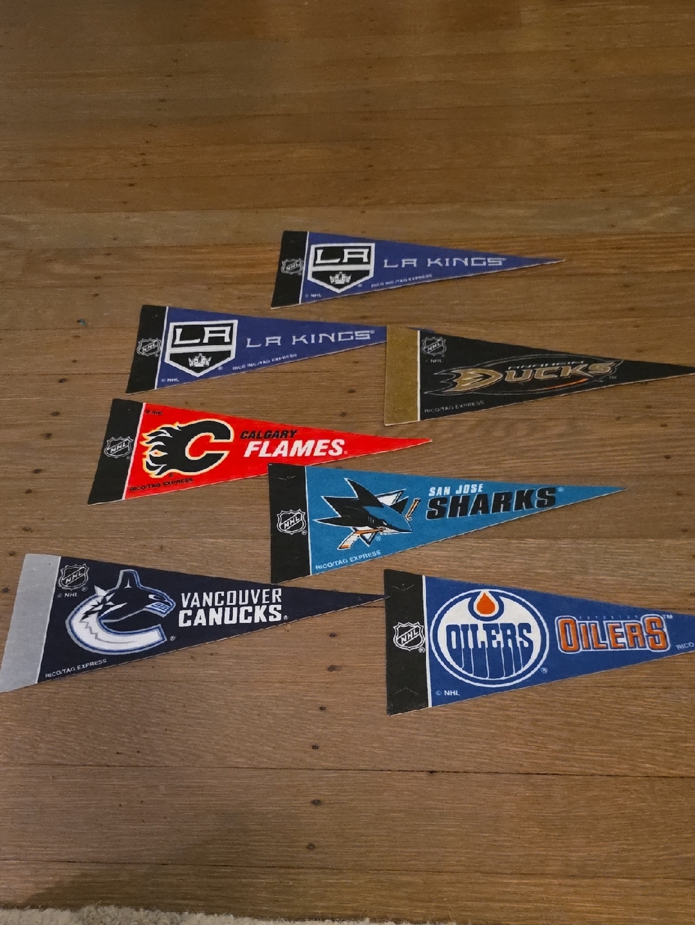 NHL Pacific Team Mini Pennants Set Of 7 -  4"x9"